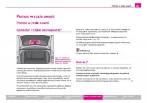 Skoda-Fabia-I-1-instrukcja-obslugi page 222 min