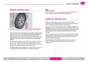 Skoda-Fabia-I-1-instrukcja-obslugi page 224 min