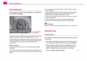 Skoda-Fabia-I-1-instrukcja-obslugi page 225 min