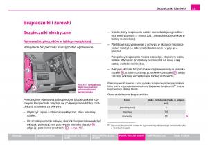 Skoda-Fabia-I-1-instrukcja-obslugi page 238 min