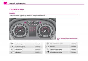 Skoda-Fabia-I-1-instrukcja-obslugi page 29 min