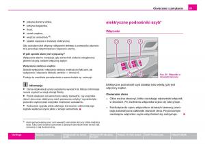 Skoda-Fabia-I-1-instrukcja-obslugi page 52 min