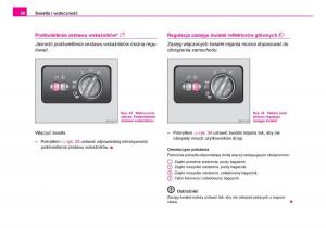 Skoda-Fabia-I-1-instrukcja-obslugi page 59 min