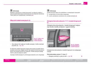 Skoda-Fabia-I-1-instrukcja-obslugi page 60 min