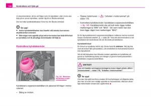 Skoda-Fabia-I-1-instruktionsbok page 185 min