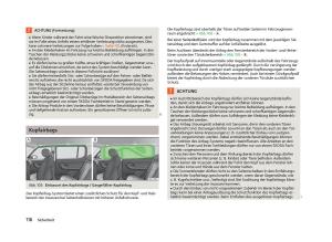 Skoda-Fabia-II-2-Handbuch page 118 min