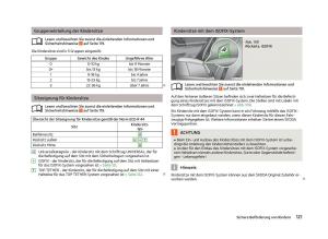 Skoda-Fabia-II-2-Handbuch page 123 min