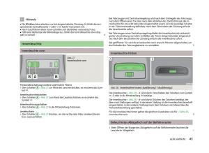 Skoda-Fabia-II-2-Handbuch page 45 min