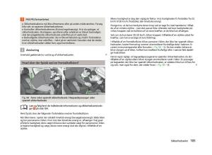 Skoda-Fabia-II-2-Bilens-instruktionsbog page 107 min