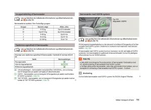 Skoda-Fabia-II-2-Bilens-instruktionsbog page 117 min