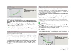 Skoda-Fabia-II-2-Bilens-instruktionsbog page 121 min