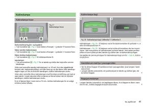 Skoda-Fabia-II-2-Bilens-instruktionsbog page 43 min