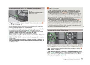 Skoda-Fabia-II-2-manuel-du-proprietaire page 121 min