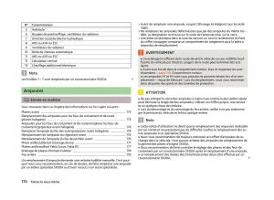 Skoda-Fabia-II-2-manuel-du-proprietaire page 176 min