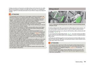 Skoda-Fabia-II-2-manuale-del-proprietario page 117 min