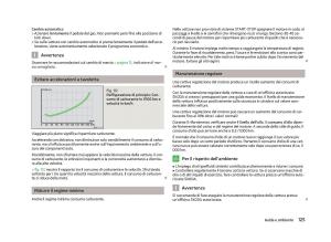 Skoda-Fabia-II-2-manuale-del-proprietario page 127 min