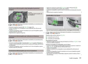 Skoda-Fabia-II-2-manuale-del-proprietario page 179 min