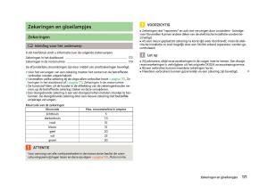 Skoda-Fabia-II-2-handleiding page 173 min