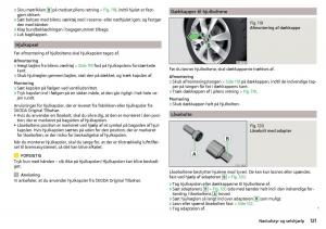 Skoda-Citigo-Bilens-instruktionsbog page 123 min