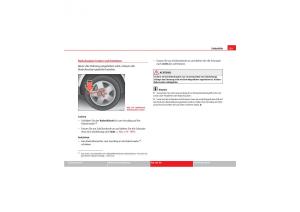 Seat-Exeo-Handbuch page 261 min