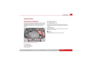 Seat-Exeo-Handbuch page 307 min