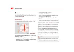 Seat-Alhambra-I-1-Handbuch page 224 min