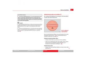 Seat-Alhambra-I-1-Handbuch page 227 min