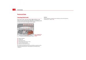 Seat-Alhambra-I-1-owners-manual page 264 min