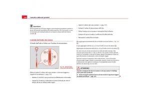 Seat-Alhambra-I-1-manuale-del-proprietario page 230 min