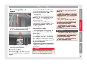 Seat-Alhambra-II-2-Handbuch page 235 min