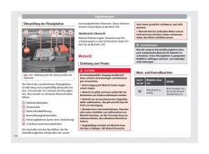 Seat-Alhambra-II-2-Handbuch page 236 min