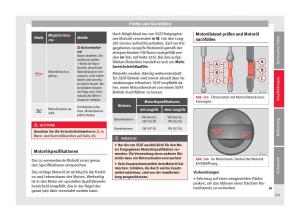 Seat-Alhambra-II-2-Handbuch page 237 min