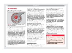 Seat-Alhambra-II-2-Handbuch page 244 min