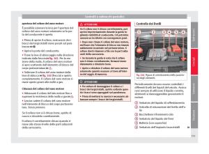 Seat-Alhambra-II-2-manuale-del-proprietario page 233 min