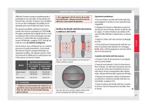 Seat-Alhambra-II-2-manuale-del-proprietario page 235 min