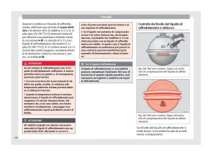 Seat-Alhambra-II-2-manuale-del-proprietario page 240 min