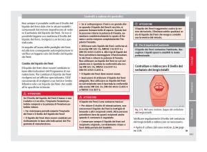 Seat-Alhambra-II-2-manuale-del-proprietario page 243 min