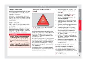 Seat-Alhambra-II-2-manuale-del-proprietario page 261 min