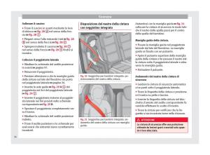 Seat-Alhambra-II-2-manuale-del-proprietario page 38 min