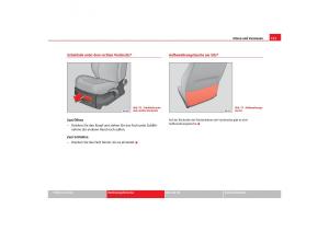 Seat-Cordoba-II-2-Handbuch page 117 min