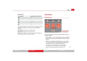 Seat-Cordoba-II-2-Handbuch page 127 min