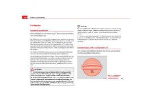 Seat-Cordoba-II-2-Handbuch page 196 min