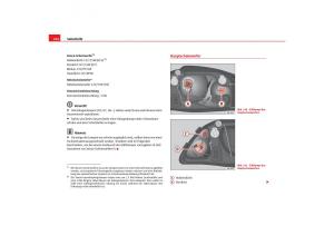 Seat-Cordoba-II-2-Handbuch page 226 min