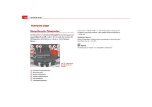 Seat-Cordoba-II-2-Handbuch page 246 min