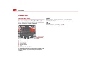 Seat-Cordoba-II-2-owners-manual page 234 min