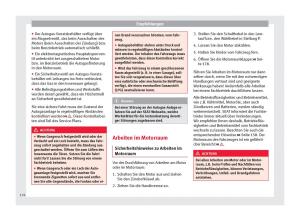 Seat-Altea-Handbuch page 178 min