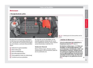 Seat-Ateca-Handbuch page 303 min