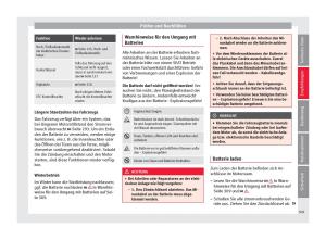 Seat-Ateca-Handbuch page 311 min