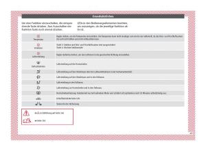 Seat-Ateca-Handbuch page 51 min