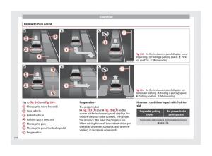 Seat-Ateca-owners-manual page 238 min